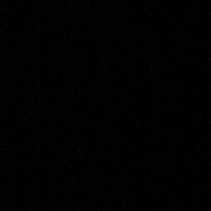 Meet your Posher, Izzy angel